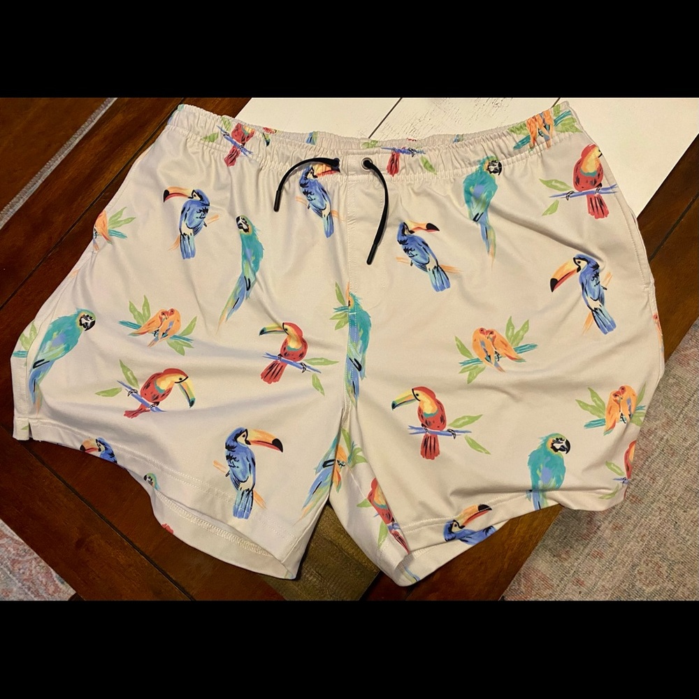 Chubbies Movementum shorts